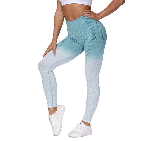 Breathable Ombre Colour Fitness Leggings