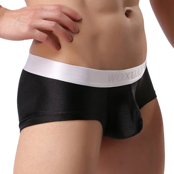 Mens Sexy Nylon Underwear