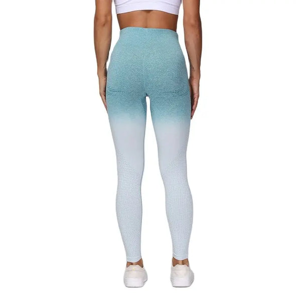 Breathable Ombre Colour Fitness Leggings